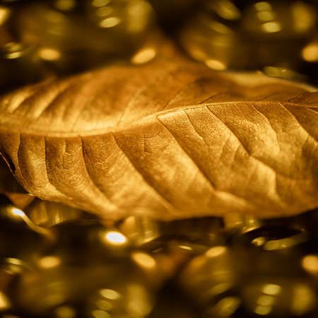 Dry Golden Leaf Texture Background. Close-up and Selective focus.の写真素材
