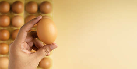 Hand Holding Egg. Organic Products. Raw Fresh Food. Clean and Minimal. Top View