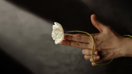 Sign of Peace. Replaced a Gun Hand Sign with a White Poppy Flower. World International Peace Day. Top Viewの写真素材
