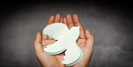 Hands Holding a White Paper Dove. Sign of Peace and New Beginnings of Hope. World International Peace Day. Top View. Dark toneの写真素材