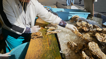 Fresh oysters on ice at a seafood market, representing freshness, daily life, and charm of traditional Asian fish marketsの写真素材