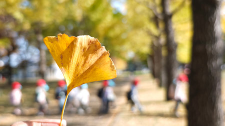 Hand holding a yellow ginkgo leaf with blurred background of school children walking outdoors, symbolizing change, season, and lifeの写真素材