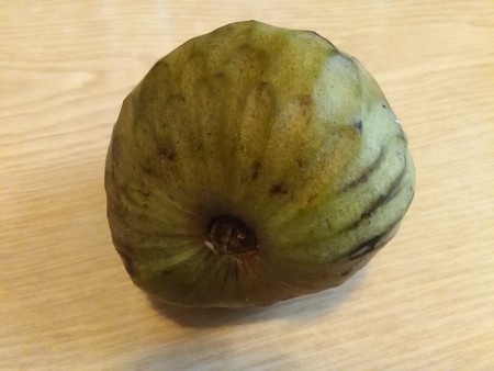 naturalの写真素材