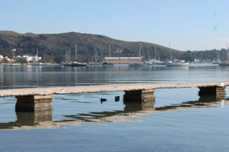 View of the bay of Port Pollensa. Balearic islands. Spain.の写真素材