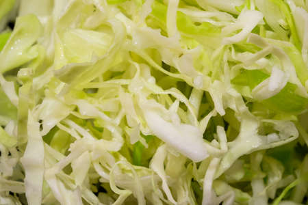 Slice fresh cabbage background.の写真素材