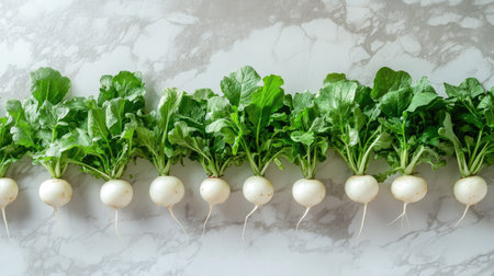 Fresh white radishes with vibrant green leaves arranged neatly on a marble surface. Ideal for health-focused culinary projects or food-related content.の素材