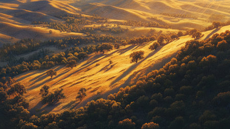 A breathtaking view of rolling hills bathed in golden sunlight during sunrise. The vibrant greenery and trees create a serene and tranquil landscape ideal for nature lovers.の素材