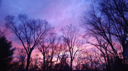 A stunning sunrise sky painted with vibrant colors, showcasing bare trees against a colorful backdrop. Perfect for nature and landscape themes.の素材