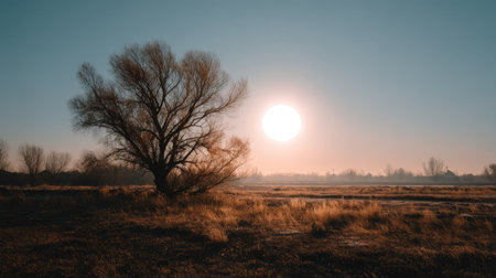 A serene sunset illuminates a tranquil landscape featuring a silhouette of a leafless tree against a vast sky, capturing the beauty of nature's peaceful moments.の素材