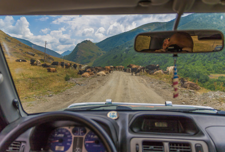 The Mtskheta-Mtianeti region is one of the most impressive exemple of the Georgian stunning beauty, even if most of the time you have to slalom among cows and sheeps :-)の写真素材