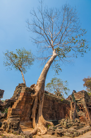 Angkor Thom, Cambodia - one the largest religious monument in the world, former capital of Khmer empire, and famous for the stone faces carved in the rocksのeditorial素材