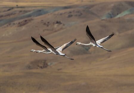 Van, Turkey - at the border with Iran, Van and its wonderful lake are splendid places to visit, with...