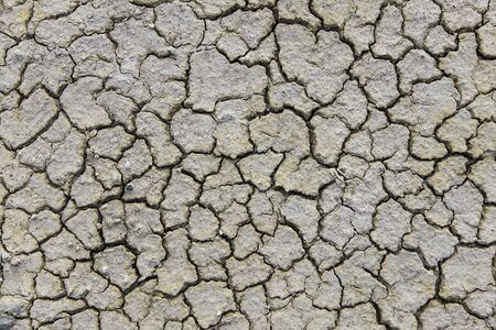 cracked earth