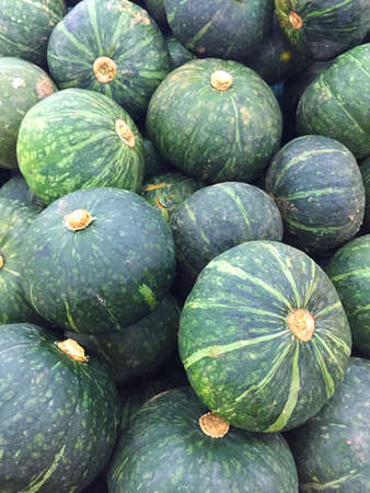 Green pumpkins 