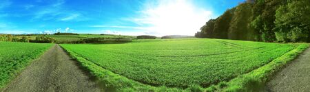 Summer time , Farm ,Luxembourg