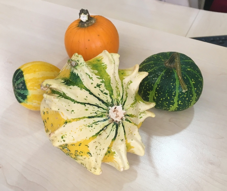 Group of pumpkin, Mini pumpkin on the tableの写真素材