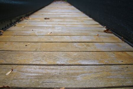 Leaf on wooden bridge,Autumn