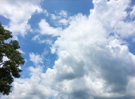 Beautiful cloud with blue background.
