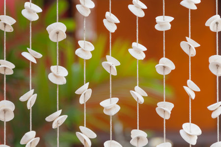 Seashell pattern curtainの写真素材
