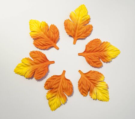 Yellow paper leafの写真素材