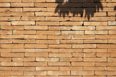 Brick wall in summerの写真素材