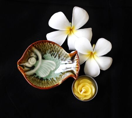 The green candle holder with fish shape and rose flower candle with the plumeria flower at the backgroundの写真素材