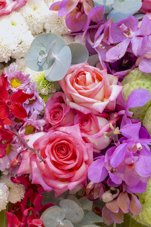 Fresh colorful flowers backgroundの写真素材