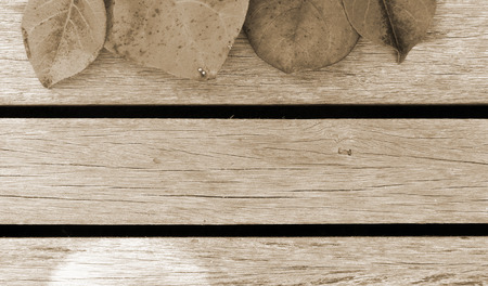 The colour leaves and wooden floor background vintage styleの写真素材