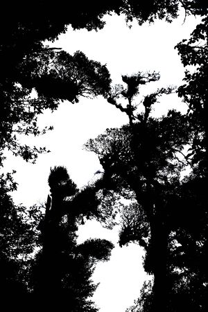 Blue abstract shade on the white backgroundの写真素材
