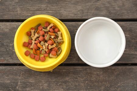 Dog food and waterの写真素材
