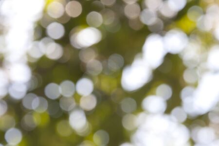 Natural light blur backgroundの写真素材