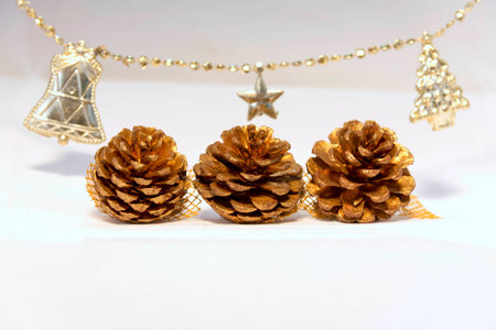 Dry pine flower Christmas setの写真素材