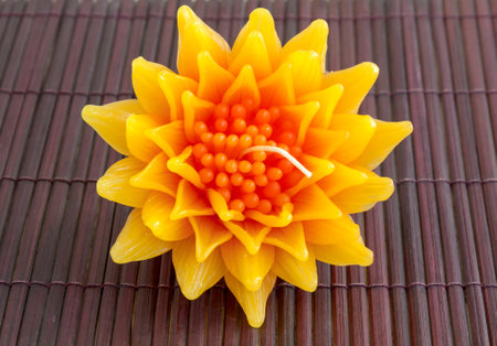 Gazania candle flower on wood backgroundの写真素材
