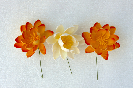 Orange and white flower setの写真素材