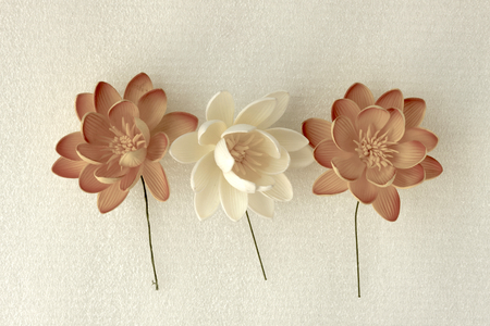 Flower set on white background vintage tone styleの写真素材