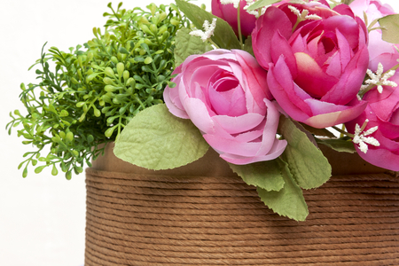 Colourful roses in the brow boxの写真素材