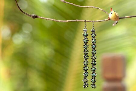 Colourful flower earing with nature green bokeh backgroundの写真素材
