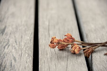 Vintage tone Dry flower on the wooden floor vintage styleの写真素材