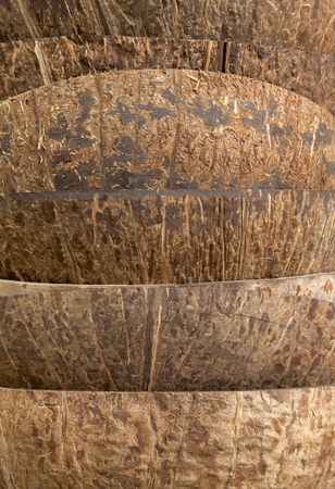 Closeup coconut shell texture