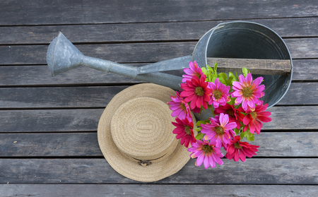 Colourful garden set style with space on backgroundの写真素材
