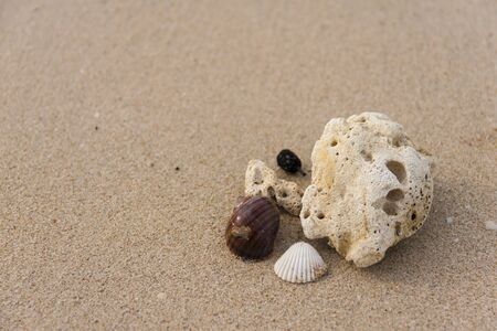 Beach concept with space on the sand horizontal styleの写真素材
