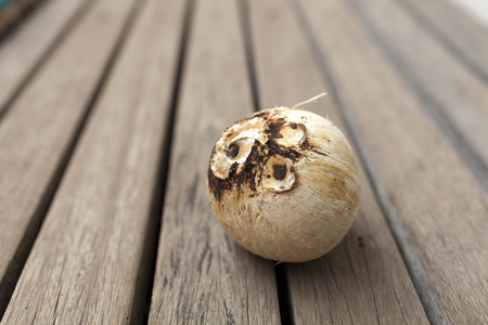 Coconut fruit on wood の写真素材