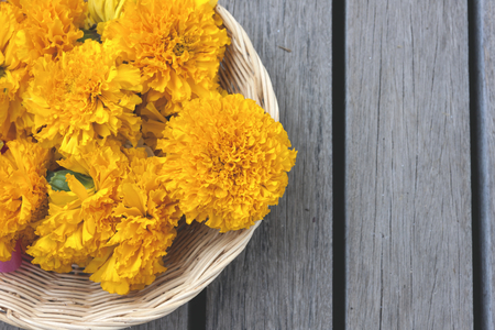 Yellow marigold in basket with space on the wood floorの写真素材