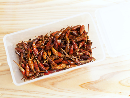 Deep fried dry chilli in plastic containerの写真素材