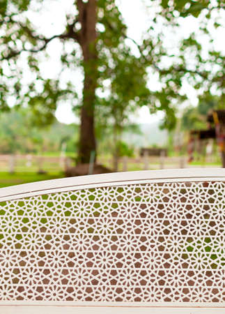 Garden chair pattern with big tree backgroundの写真素材