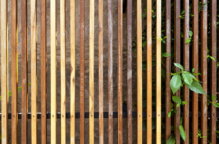 Wooden fence texture and green leafの写真素材