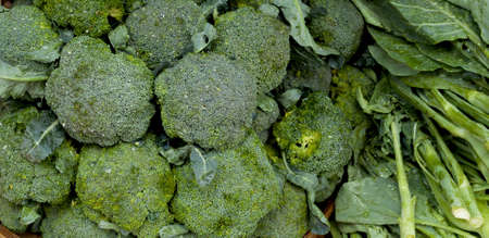 Closeup fresh broccoli background banner styleの写真素材