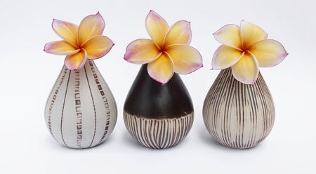 Design ceramic vase collection with flower on white backgroundの写真素材