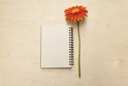 Notebook and orange flower on wood table background horizontal styleの写真素材
