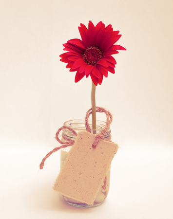 Vintage tone style background, red flower with cardの写真素材